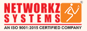 Networkz Systems Logo